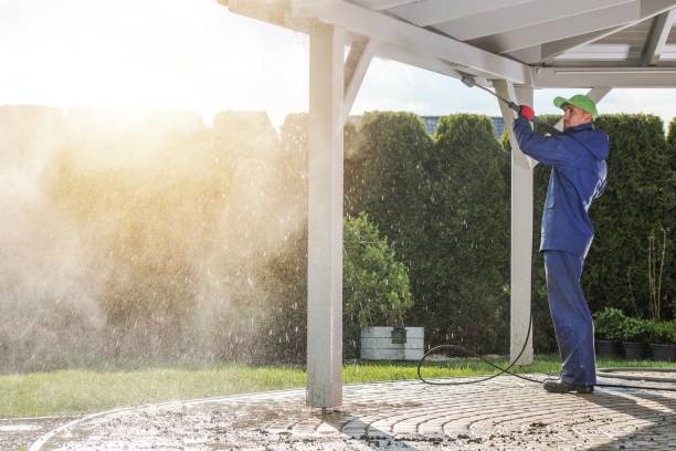 Best Gutter Cleaning  in Signal Hill, CA
